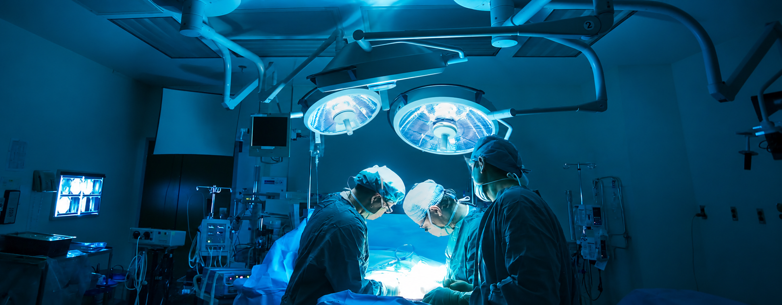 Medical Specialists Mentorship at LearnSimply Academy